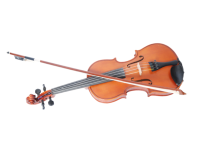 Violine